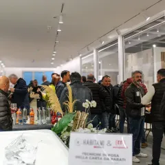 HABITAMI-SETTORE-TECNICO_EUROPARATI_13-MARZO_9