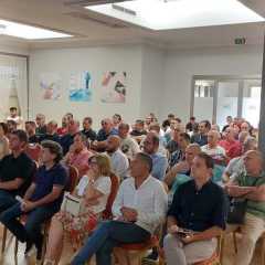 Platea